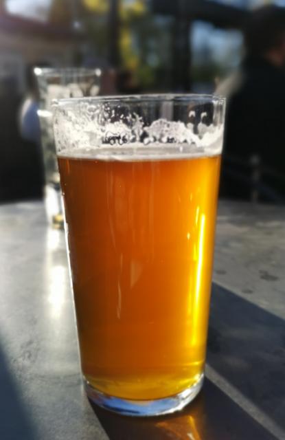 Cascade 6.2%, Nordic Brewery, Finland