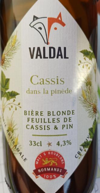 Cassis dans la pinède, Brasserie Valdal