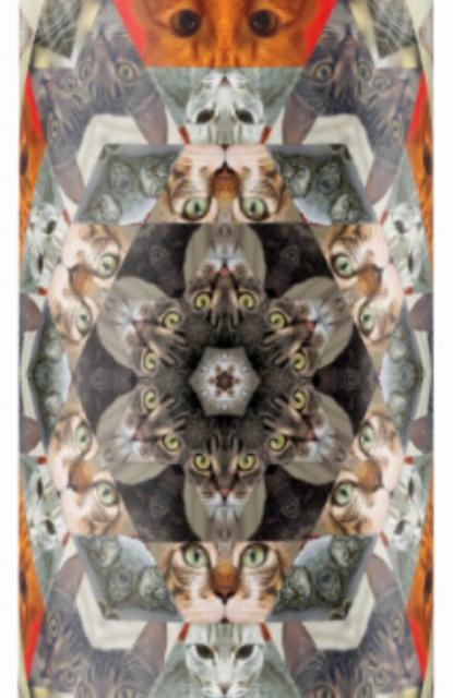 Catleidoscope 4 8.0%, Hop Hooligans, Romania