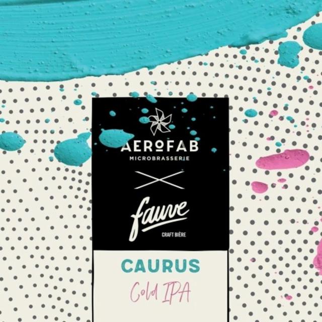 Caurus 6.0%, Aerofab, France