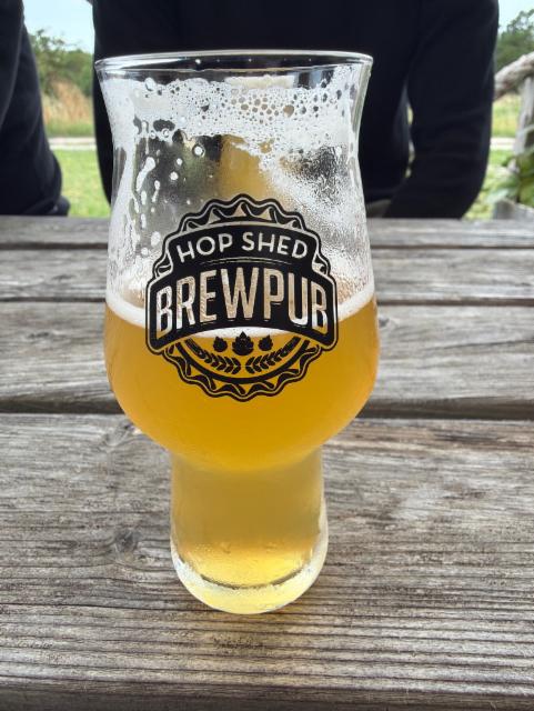 Celebration IPA, 2026, Ljugarns Brygghus