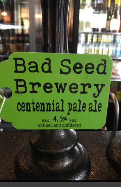 Centennial Pale Ale 4.5%, Bad Seed Brewery, England