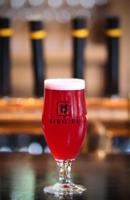 Certitude 3.9%, Microbrasserie Siboire, Canada