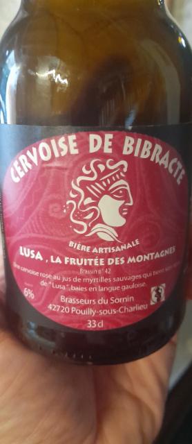 cervoise de bibracte Luisa 6.0%, Les Brasseurs Du Sornin, France