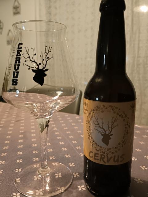 CERVUS NOËL 2025 6.8%, Ecol'Aux Mousses, France