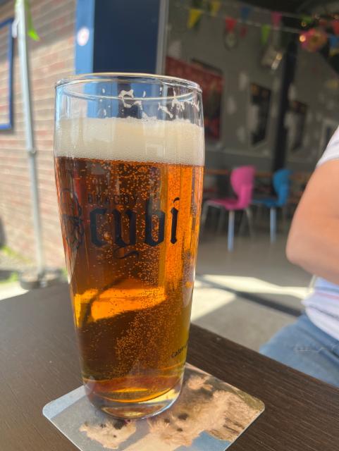 Chasing alpha, Bragdy Cybi