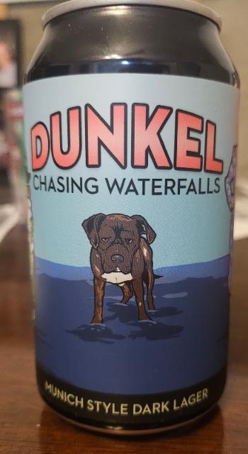 Chasing Waterfalls 5.5%, Fly Llama Brewing, United States