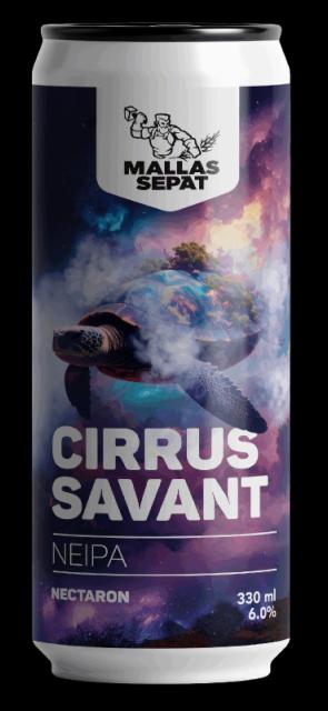 Cirrus Savant 6.0%, Mallassepät, Finland