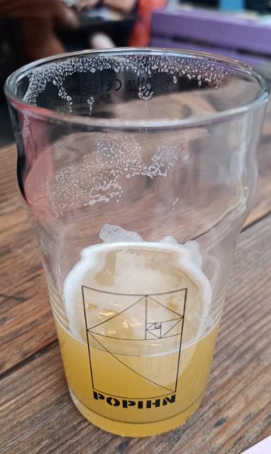 Citra-Nelson Chinook 6.0%, Brasserie Du Mont Salève, France