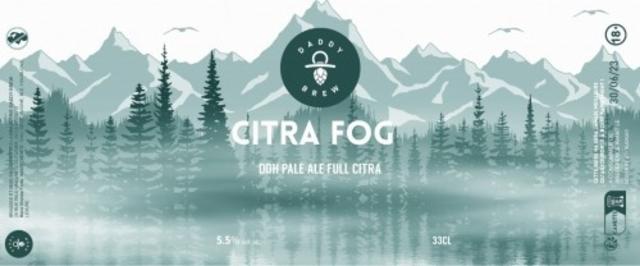 Citra Fog 5.5%, Daddy Brew, France