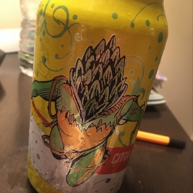 Citra Hero 7.5%, Revolution Brewing Company, United States