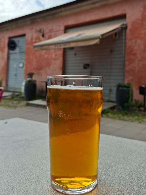 Citra IPA 6.0%, Suomenlinnan Panimo, Finland