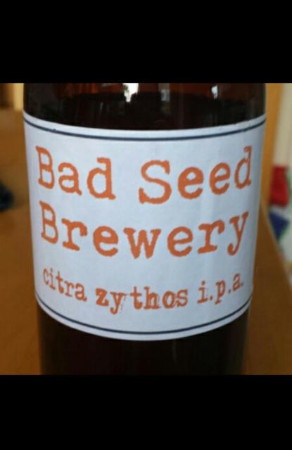 Citra Zythos 6.5%, Bad Seed Brewery, England