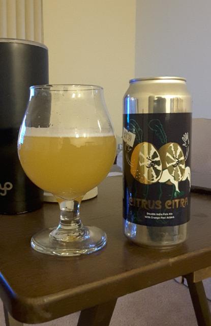 Citrus Citra 8.7%, Decadent Ales, United States