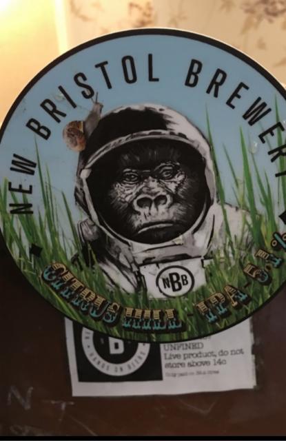 Citrus Hill IPA, New Bristol Brewery