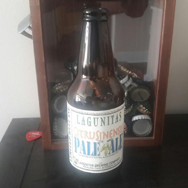 CitruSinensis Pale Ale (2017) 7.7%, Lagunitas Brewing Company (Heineken), United States