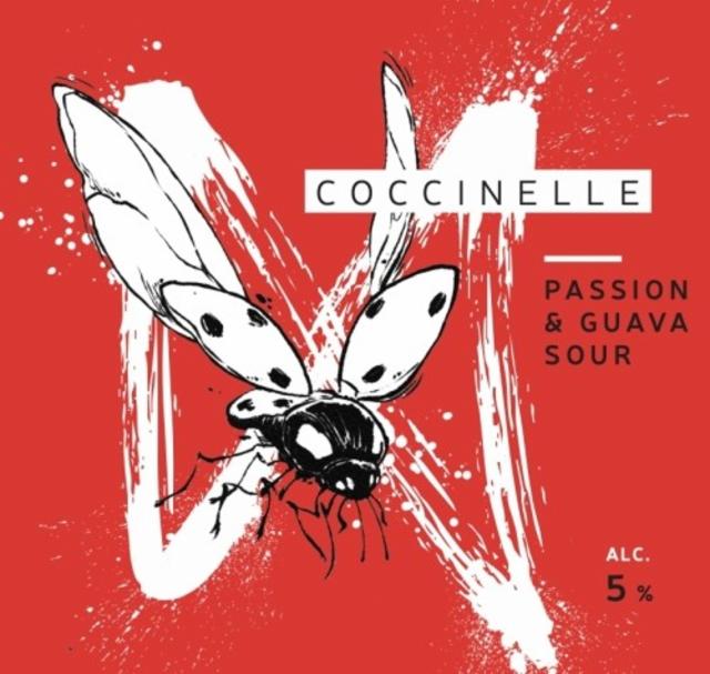 Coccinelle, La Source Beer Co.