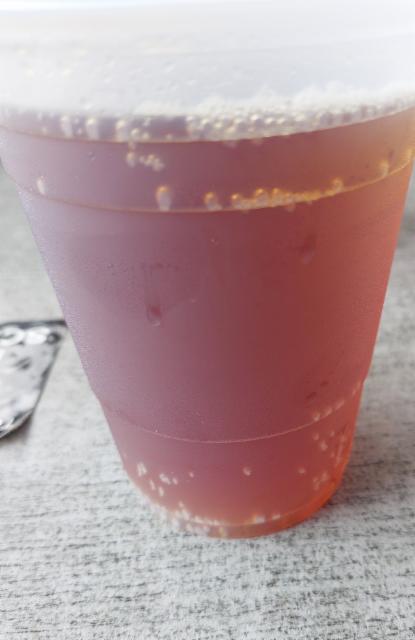 Cocoa Beach Pier Ale 5.2%, Cocoa Beach Brewing Company, United States