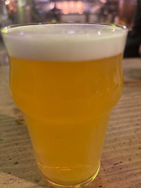 Cocodrilla, Cervezas Yakka