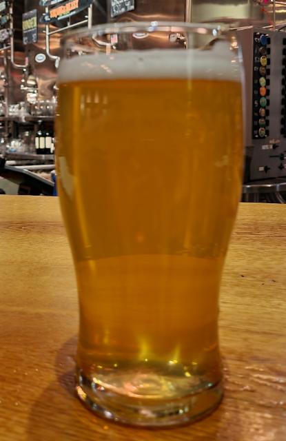 Sierra Nevada Cold IPA 7.0%, Sierra Nevada Brewing Company, United States