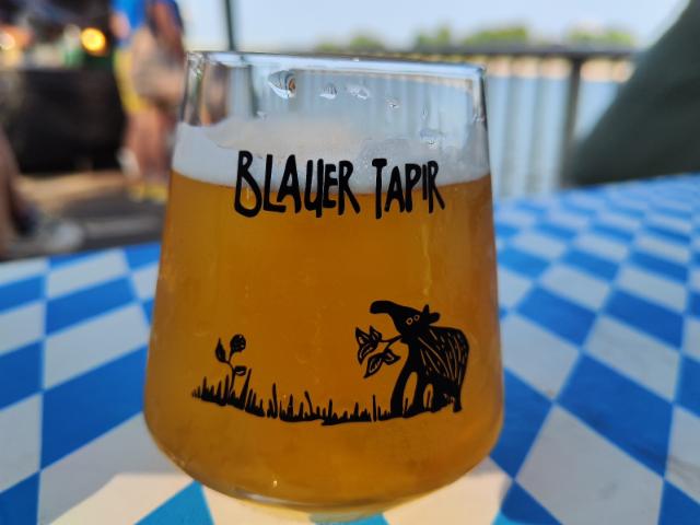 Cologne new IPA 5.5%, Blauer Tapir, Germany