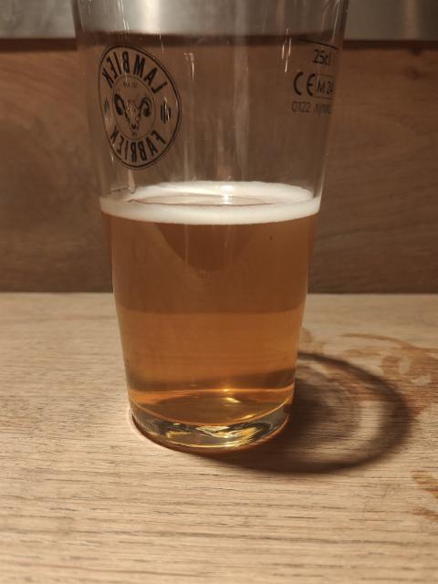 Colon-elle 8.5%, Lambiek Fabriek, Belgium