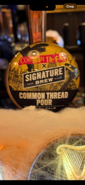 Common Thread Pour 5.4%, Signature Brew, England