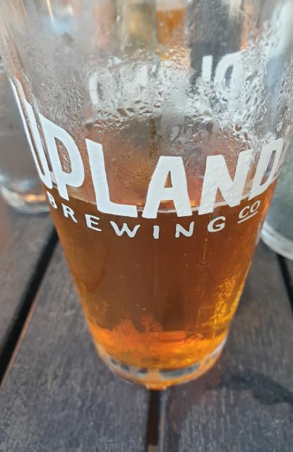 Confluence 6.1%, Upland Brewing Company, United States