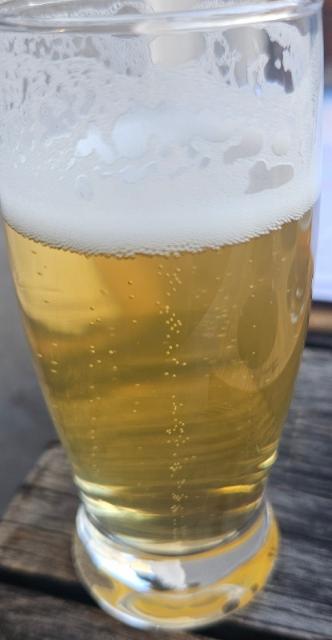 Confortable numb, Beaver Brewing Company Wien