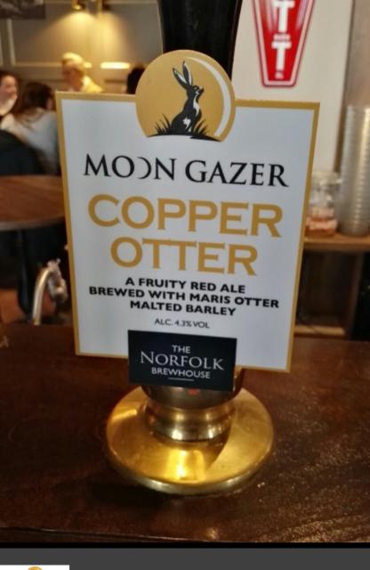 Copper Otter 4.3%, Moon Gazer - Norfolk Brewhouse, England