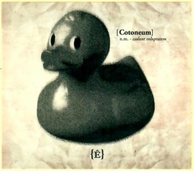 Cotoneum 6.5%, Brasserie De L'Être - Archipel, France