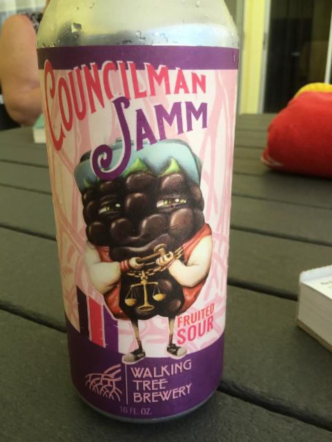 Councilman Jamm Fruited Sour, Walking Tree Brewery