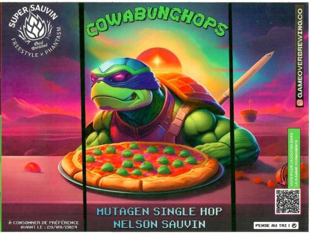 Cowabunghops 6.0%, Game Over Brewing Co., France