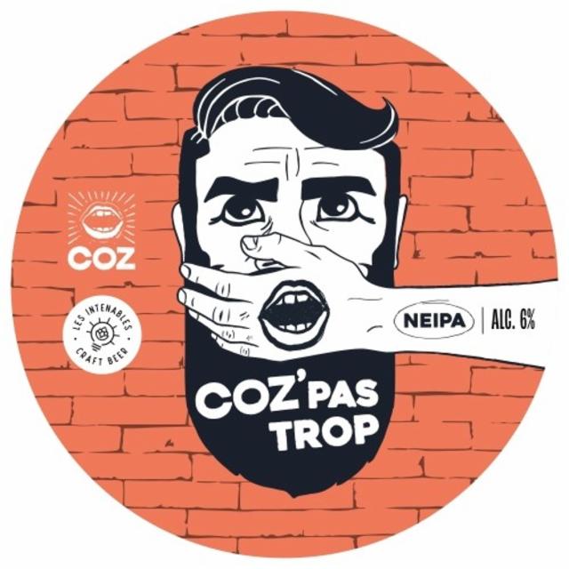Coz' Pas Trop 5.6%, Les Intenables - Craft Beer, France