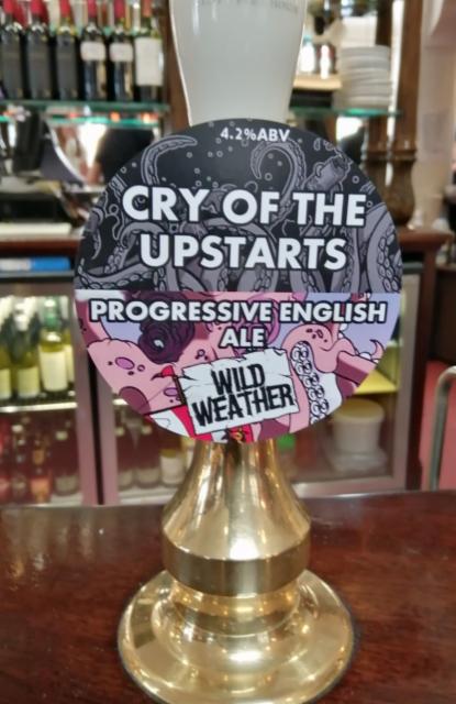 Cry Of The Upstarts 4.2%, Wild Weather Ales, England