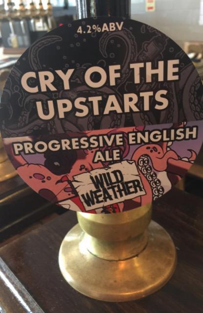 Cry Of The Upstarts 4.2%, Wild Weather Ales, England