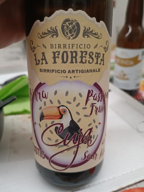 Cuja, La foresta