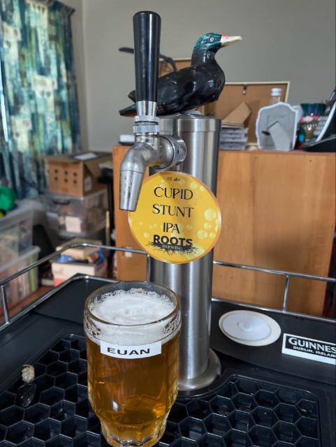 Cupid Stunt 6.0%, Roots Brewing Company, New Zealand