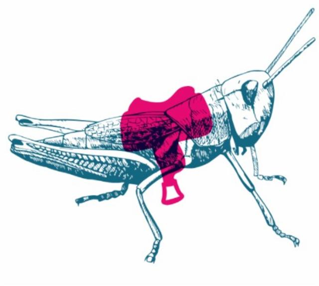 Cuvée Pépins 2024 7.2%, Sacrilège, France