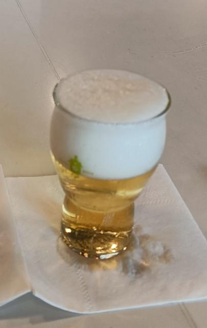 Czech Plz 5.0%, CraftHaus Brewery, United States