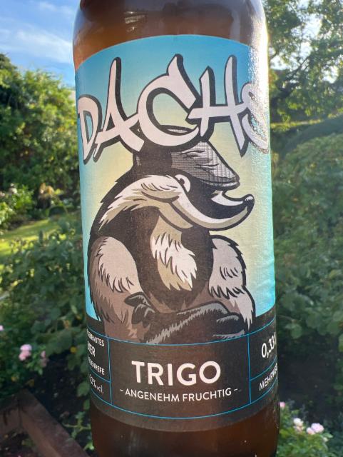 Dachs Trigo, Dachs Brauhandwerk GmbH