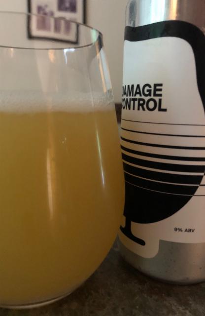 Damage Control The Vacant Lots 9.0%, Foam Brewers, United States