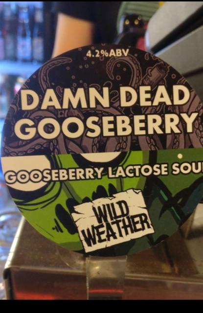Damn Dead Gooseberry 4.2%, Wild Weather Ales, England