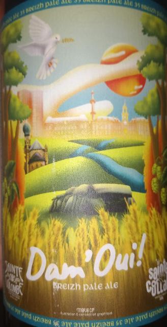 dam'oui 5.0%, Brasserie Sainte Colombe, France