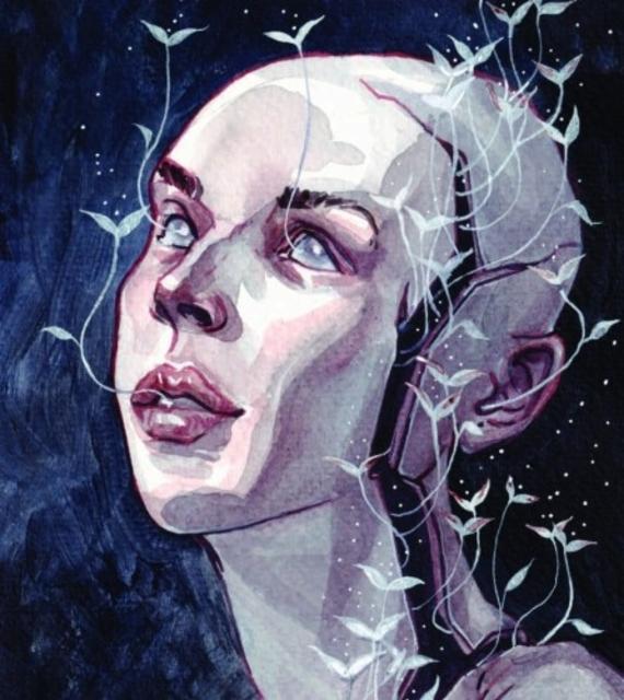 Dana 6.0%, Brasserie Arcka, France