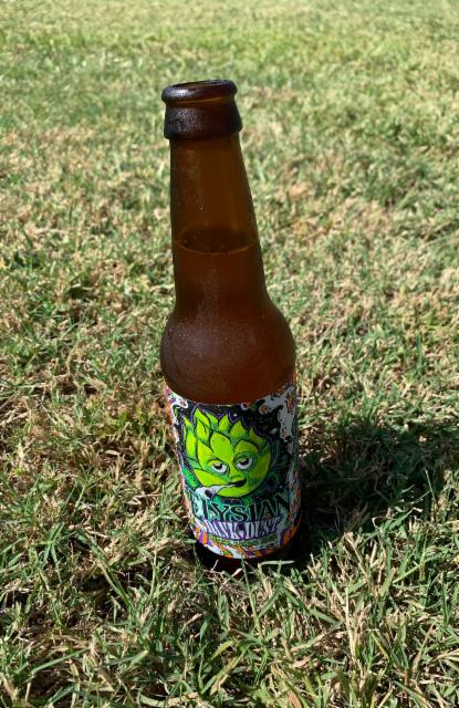 Dank Dust IPA 8.2%, Elysian Brewing (AB InBev), United States