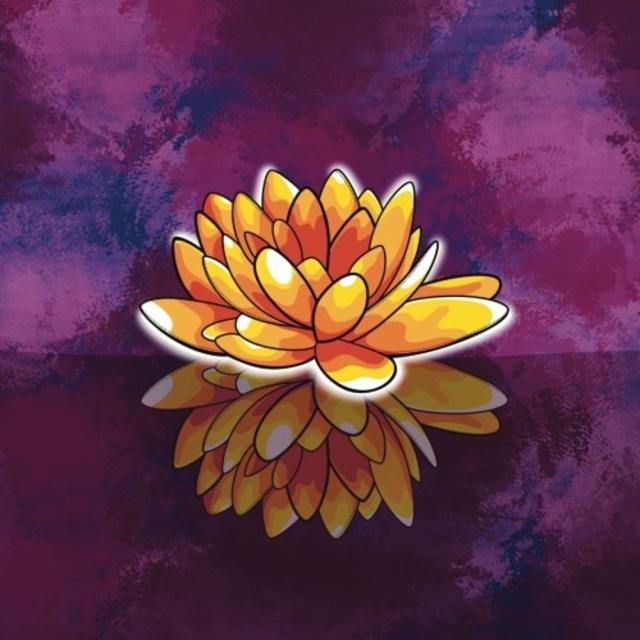 Darker Flower 10.5%, Les Intenables - Craft Beer, France