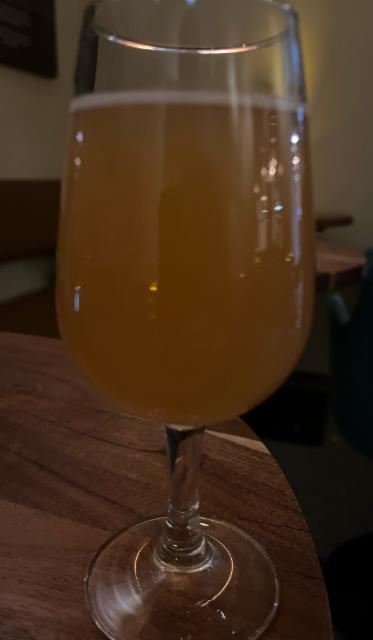 Darwin ipa 6.5%, Monkey Brew, Norway