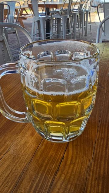 Day Drinker Light Lager, Pedal Haus Brewery