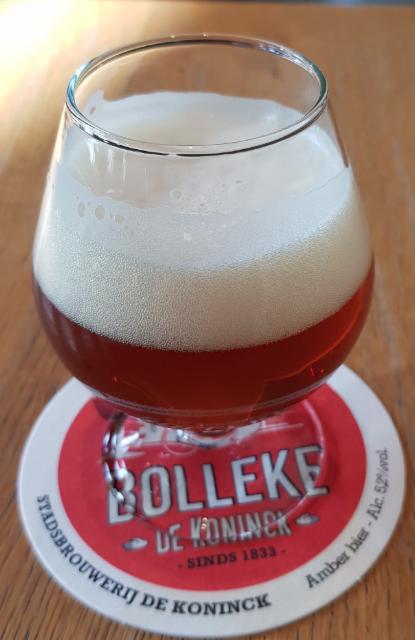 De Koninck Ongefilterd 5.6%, Brouwerij De Koninck (Duvel-Moortgat), Belgium